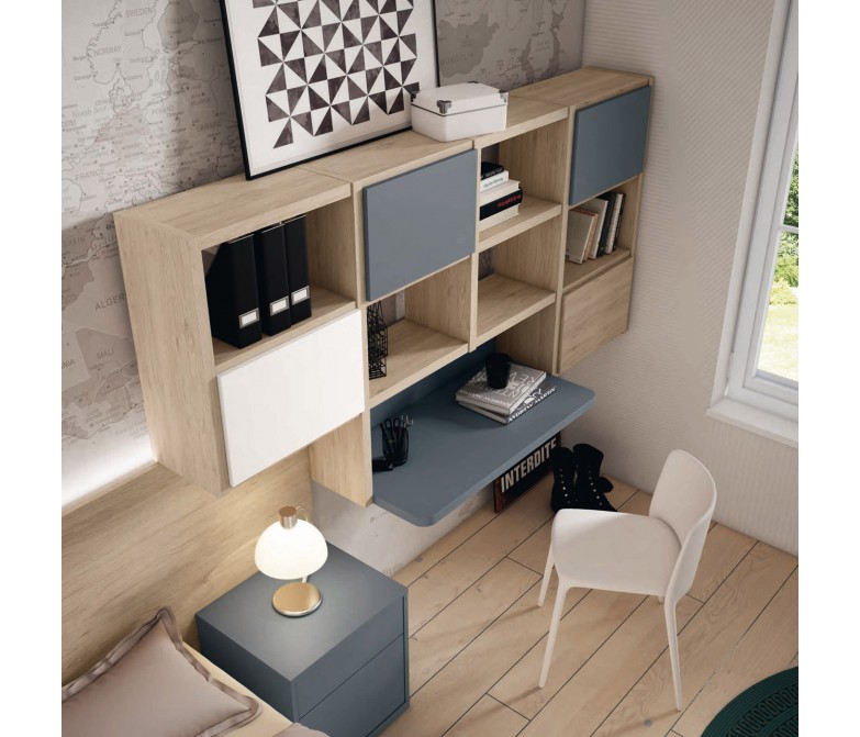 Dormitorio adolescente con estantería y escritorio DS459CP68