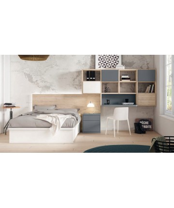 Dormitorio adolescente con estantería y escritorio DS459CP68