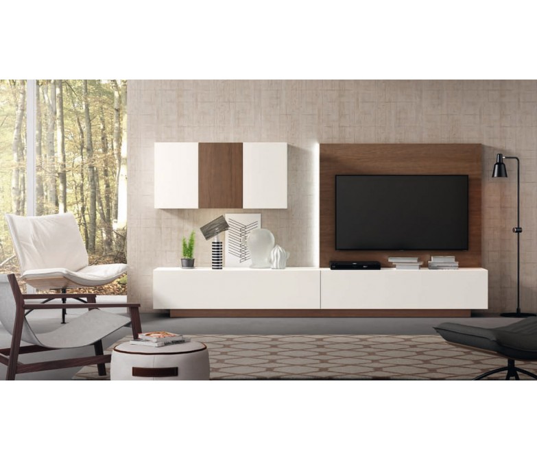 Composición salón de diseño contemporáneo DS172CS07