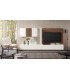 Composición salón de diseño contemporáneo DS172CS07