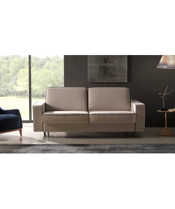 Sofá cama de líneas rectas y elegantes DS716D