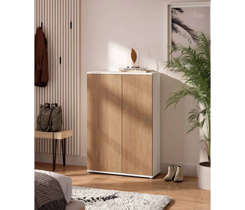Zapatero de diseño moderno con dos puertas DS433H310