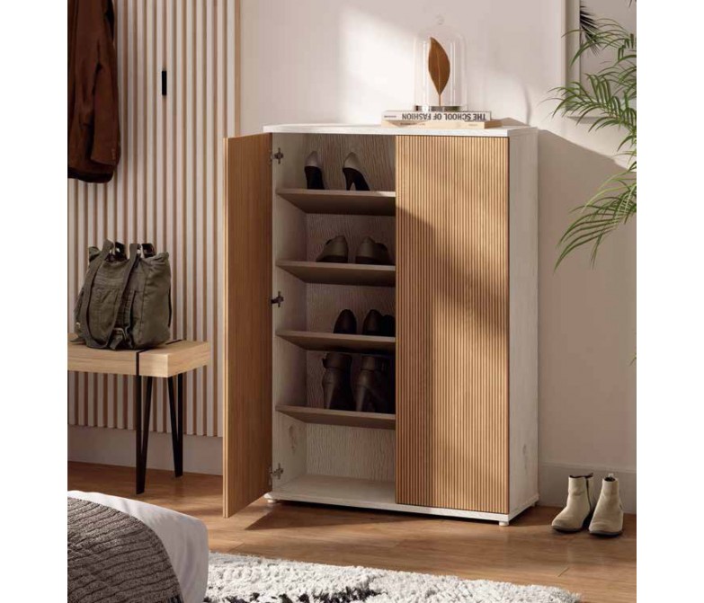 Zapatero de diseño moderno con dos puertas DS433H310