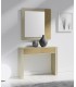 Mueble de líneas rectas y diseño minimalista DS263-3012