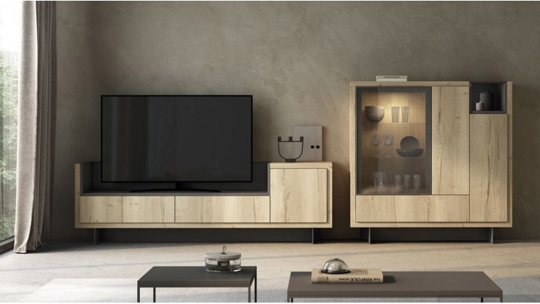 Composición de salón de estilo minimalista DS950A02
