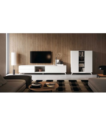 Composición salón de diseño moderno DS172ID31