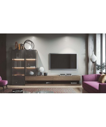 Composición salón de diseño contemporáneo DS39332