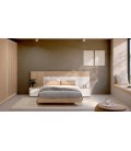 Dormitorio moderno DS950D09