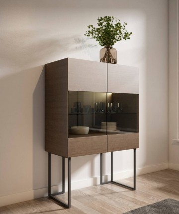 Vitrina de diseño moderno con cristal y luz LED DS642703