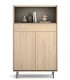 Muble auxiliar con 2 cajones y 2 puertas DS849RS