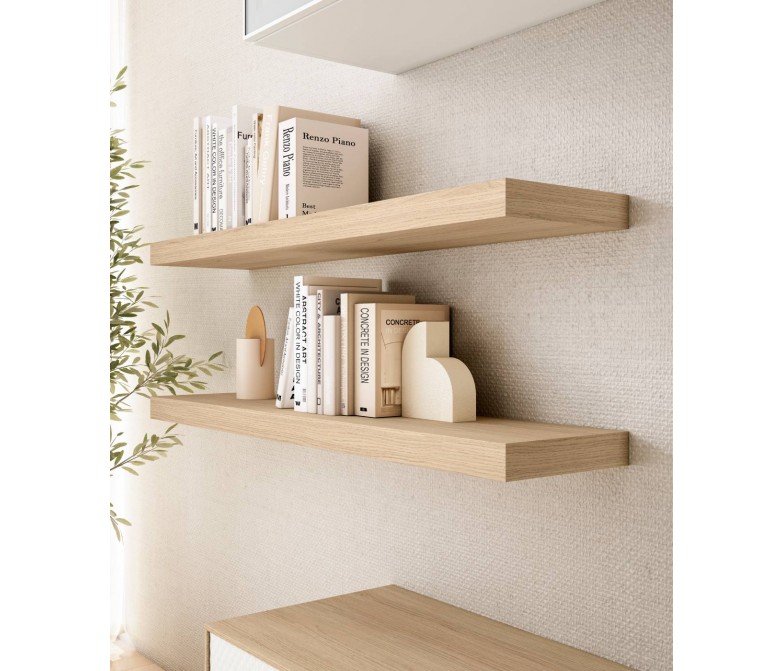 Mueble de salón elegante con baldas y modulo colgado DS459BE9