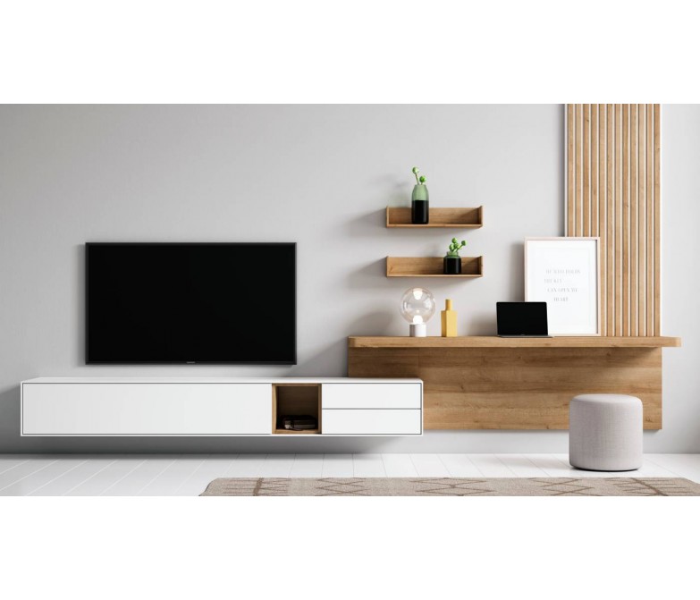 Composición salón con mueble TV y panel alistonado DS459BE30