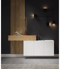 Mueble de entrada con panel DS172BRV26