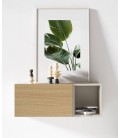 Mueble colgado de entrada con puerta push DS172BRV56
