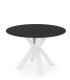 Mesa de comedor fija DS384FRLL