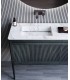 Mueble de baño con espejo y modulo DS880TSCN01