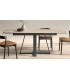 Mesa de comedor extensible y patas metálicas DS648B079