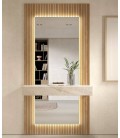 Mueble recibidor con panel y espejo DS648B136